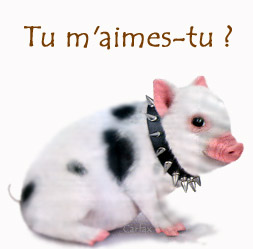 Tu m'aimes tu?